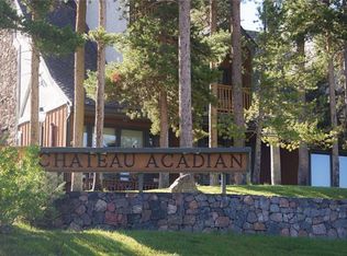 47 Tally Ho Ct #109, Dillon, CO 80435