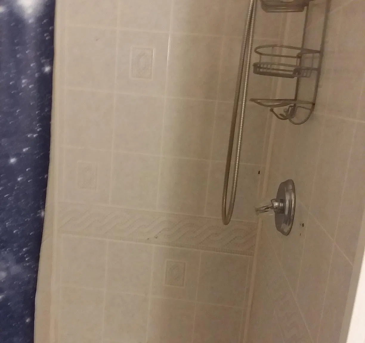 Studio, 250 sqft, $850 — Photo 3