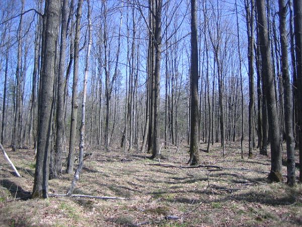 2nd image of Little Long Lake Ln #26