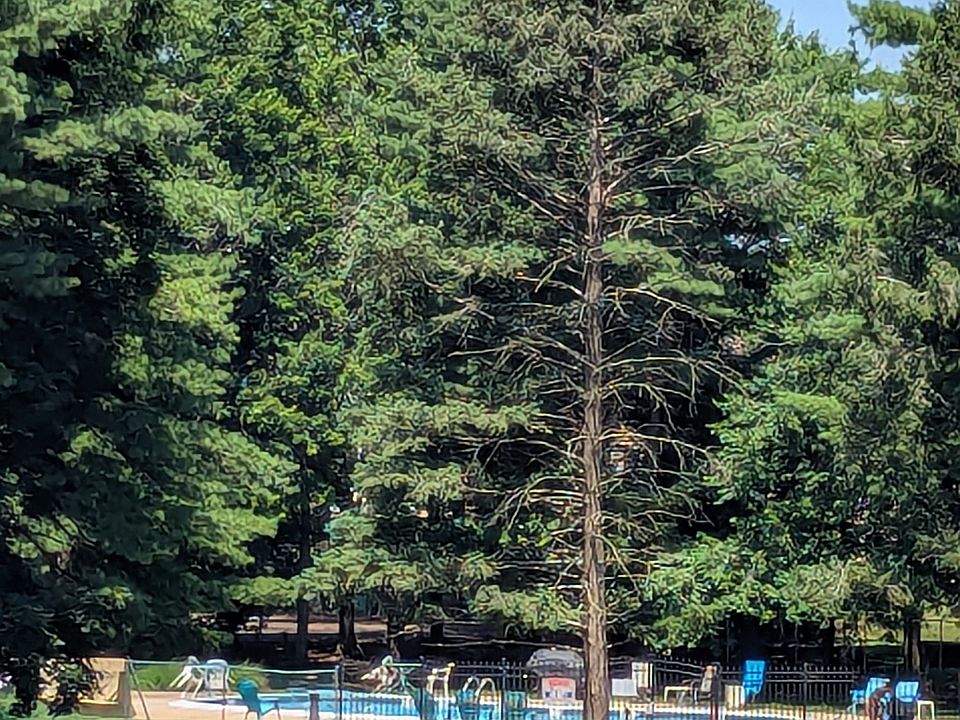 The complex has a swimming pool