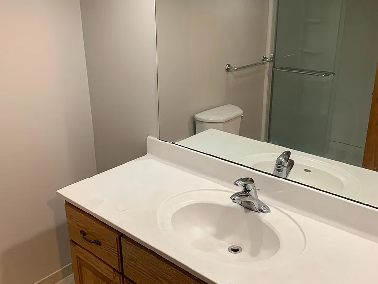 Lower level bathroom- view2