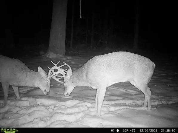 9720 Airport Rd, Beardstown, IL 62618