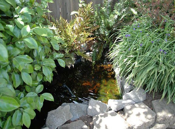 Water Feature