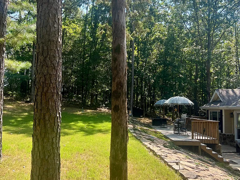 315 Mountain Ranch Dr — Photo 18