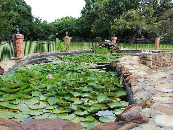 Koi Pond in Front Courtyard