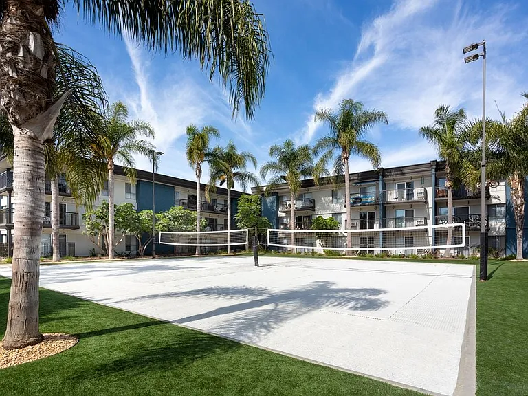 Volleyball court