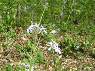 1016 Larkwood Rd LOT 124, Kingston Springs, TN 37082