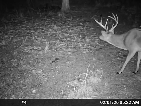 2nd image of 3 N 4450th Rd