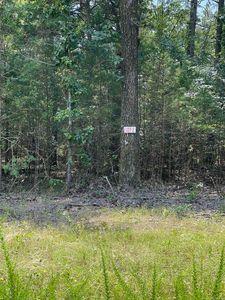 (Undisclosed Address), Higden, AR, 72067