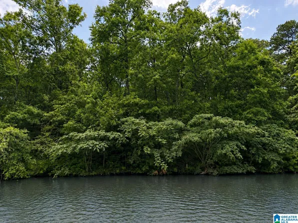 LOT 10 County Road 2565, Wedowee, AL 36278