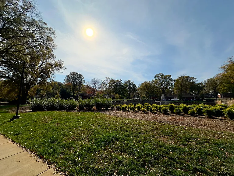 527 Elmhurst Rd — Photo 13