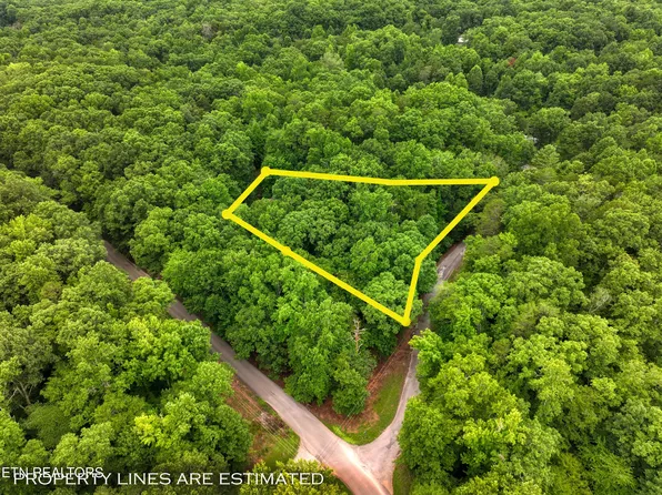 Lake Overlook Dr, Rockwood, TN 37854