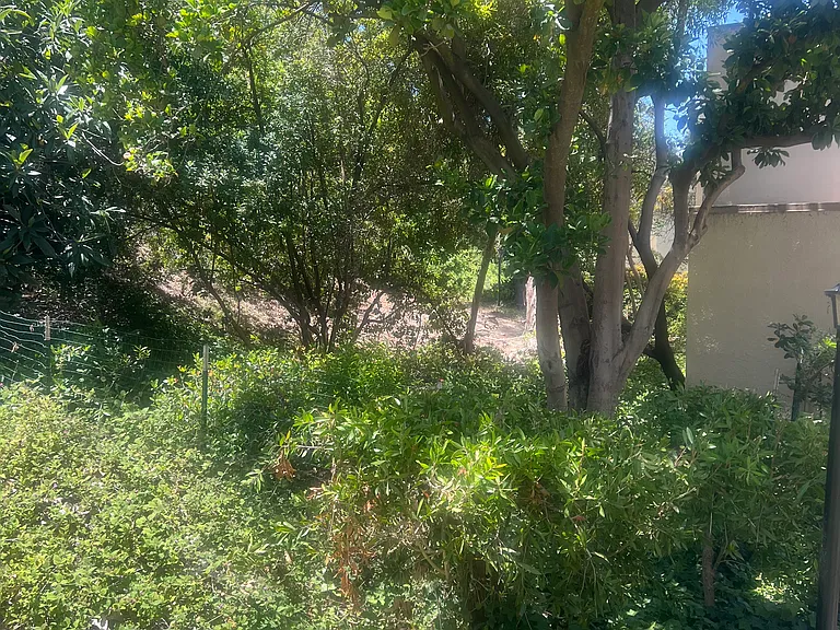 4847 Collwood Blvd #A — Photo 20
