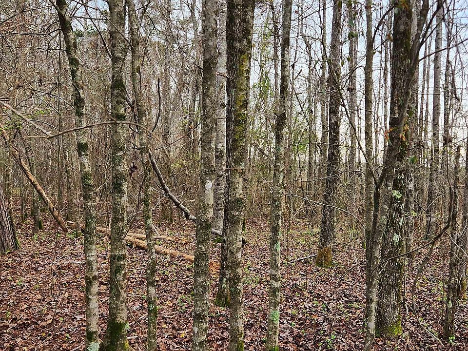 2nd image of 901 Green Hills Rd