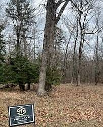 1st image of 12 Tellico Trl #12