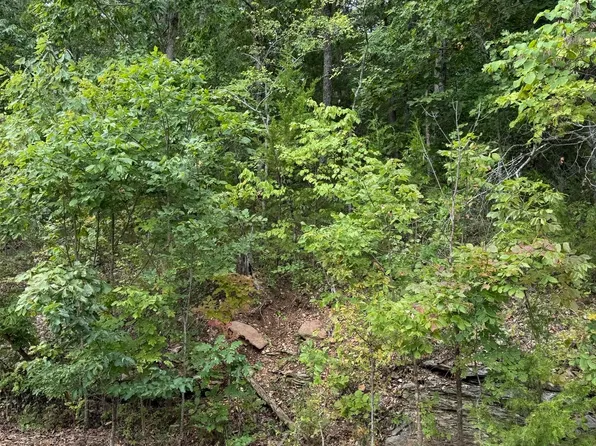 Tbd Skylee Drive, Hollister, MO 65672