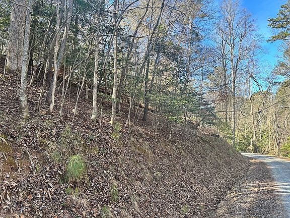 LOT 934 Ezra Ct, Ellijay, GA 30540 | MLS #401329 | Zillow