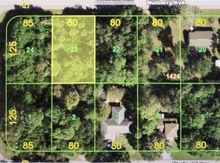 21229 Mulberry Ave, Port Charlotte, FL 33952