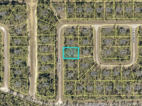 339 Tyrone Ave, Lehigh Acres, FL 33972