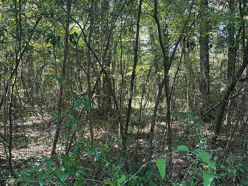 2nd image of 0A Riverwood Blvd