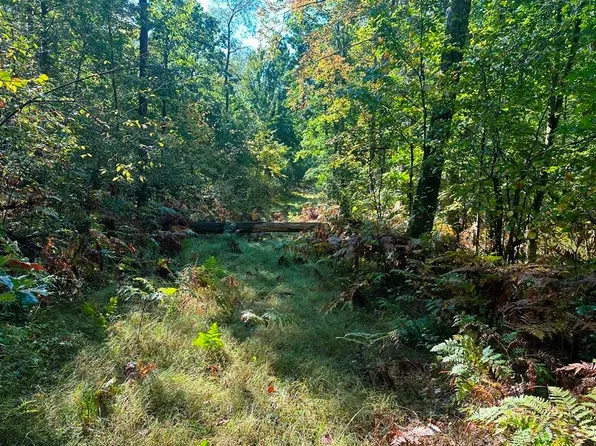 300-30 Easement Rd, Harrison, MI 48625