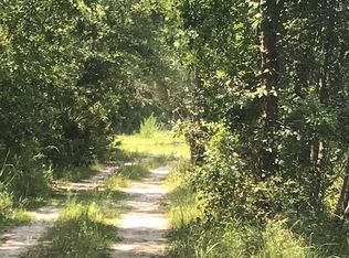 215 SW Windsor Rd, Mayo, FL 32066