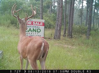 Cottonhill Rd, Fort Gaines, GA 39851