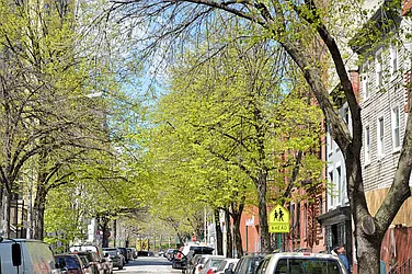 Rented by Bold New York