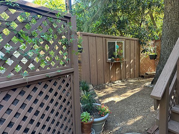 Fenced Backyard area