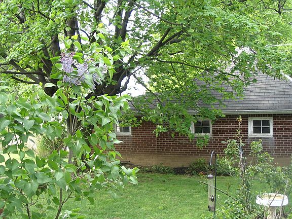 backyard and garden