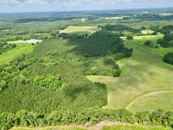 1219 Us Highway 231, Brundidge, AL 36010