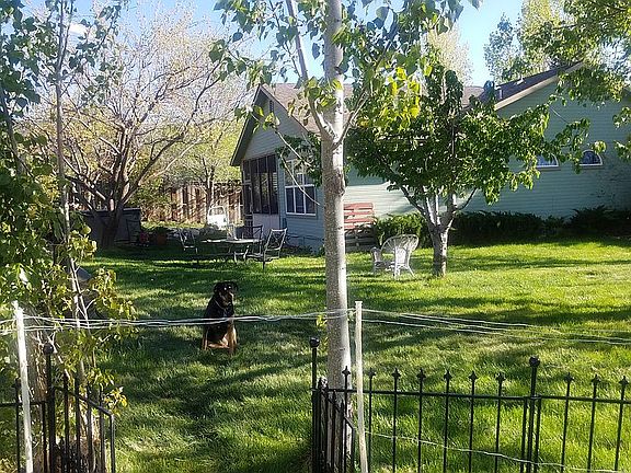 View of back yard to house