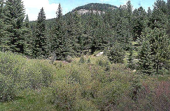 2nd image of Lakeway Vlg #1