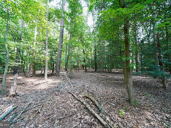 5th image of LOT 4 Mount Joy Rd