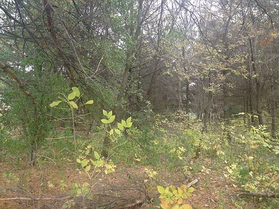 3rd image of LOT 1 Sandalwood Ct