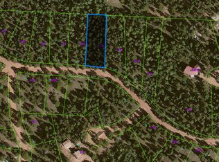 245 Insmont Ln, Divide, CO 80816