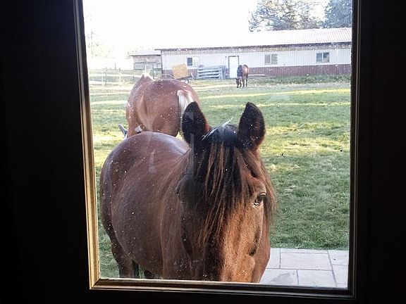 Main barn view from garage