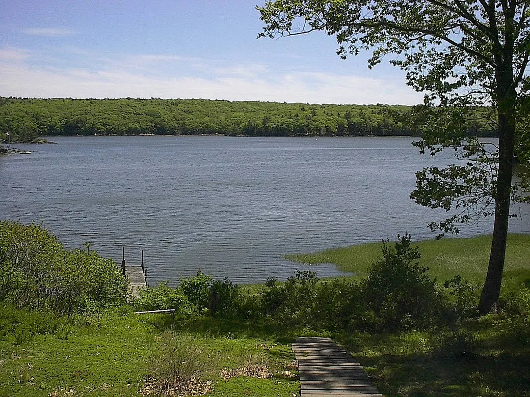 1 bed, 1000 sqft, $2,500 — Photo 2