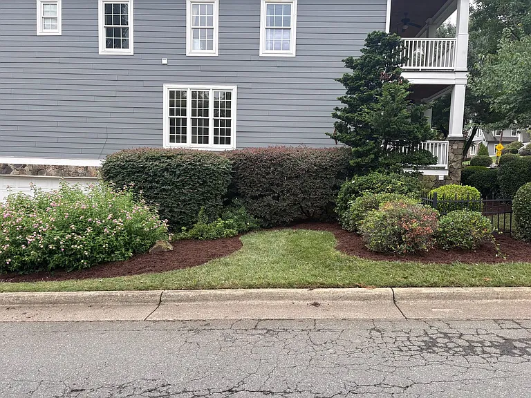 701 McDonald Ave — Photo 4