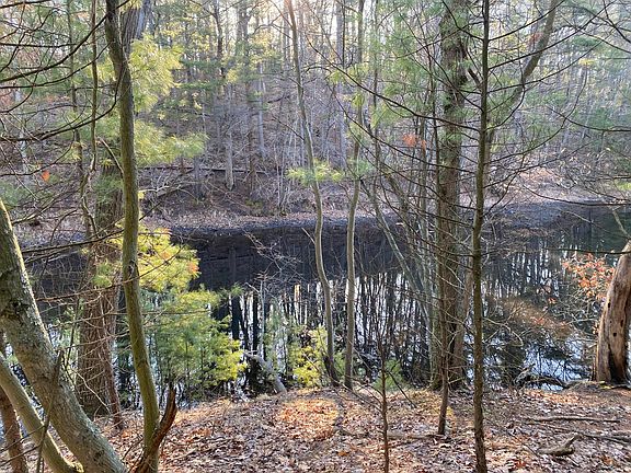 3rd image of Mill Pond Rd