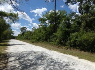 KNOXVILLE DR LOT 0002, WEBSTER, FL 33597