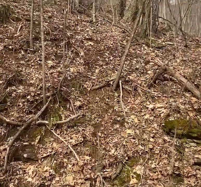 0 Rhoneys View Rd Newland NC Zillow