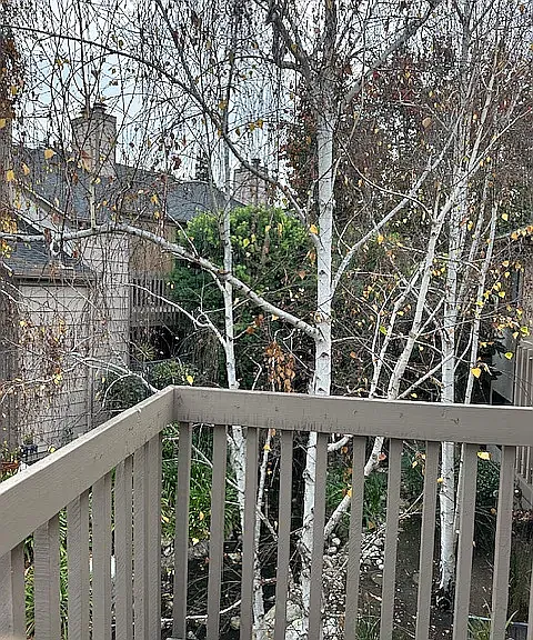 26701 Quail Crk #228 — Photo 24