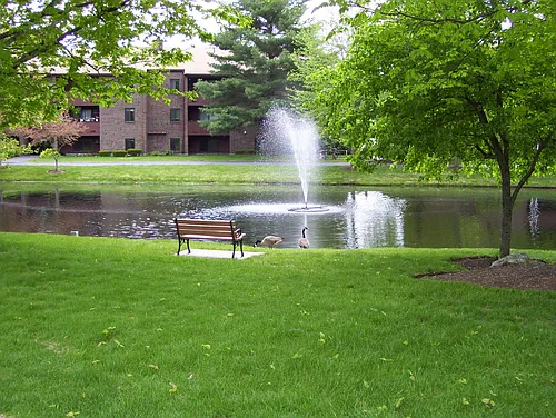 9 Davis Rd Photo 1 9 Davis Rd Photo 1