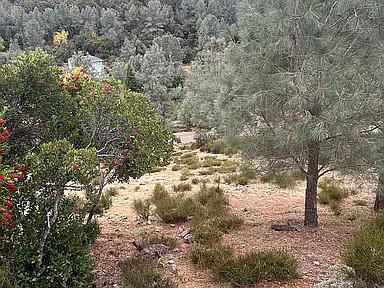 10148 El Capitan Way