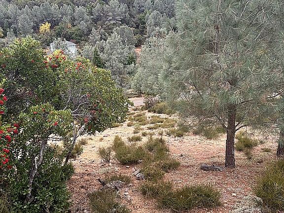 North/NE Corner Stake