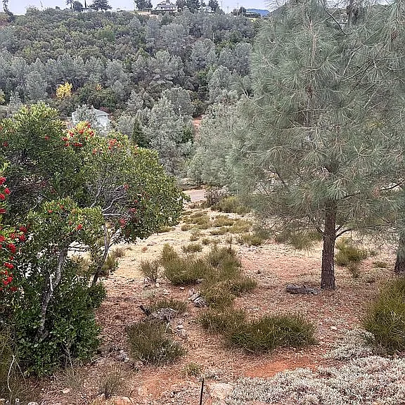 10148 El Capitan Way