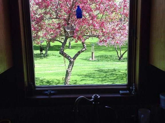 5th image of 33031 Marie Ln
