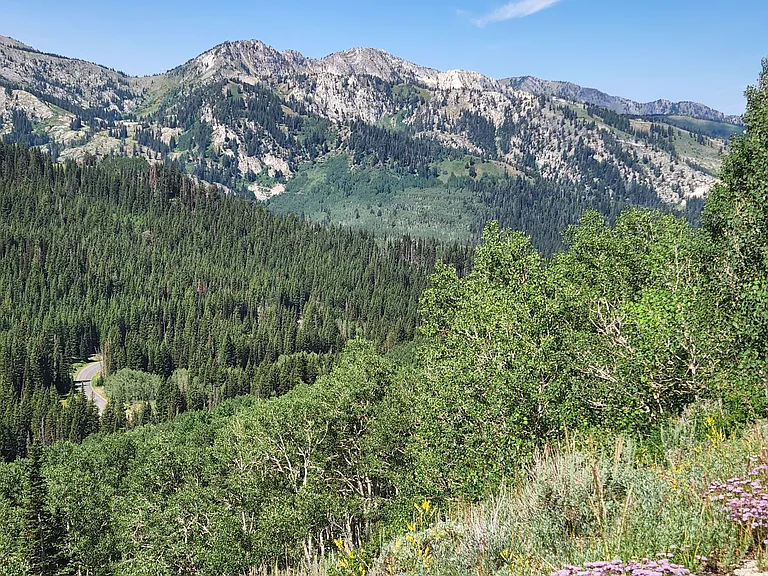 12082 E Big Cottonwood Canyon Rd — Photo 10