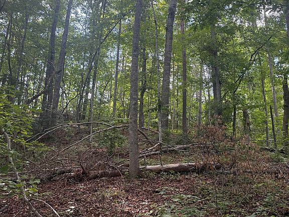 5th image of 0 Daves Valley Rd
